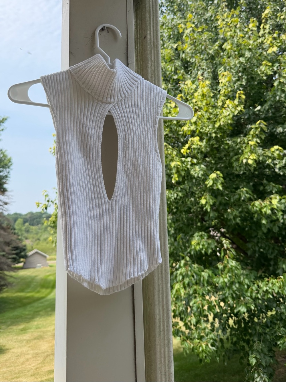 Danielle Guizio Ribbed Cut Out Turtleneck